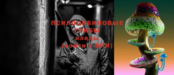 2c-b Алзамай