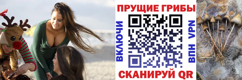Псилоцибиновые грибы MAGIC MUSHROOMS  наркотики  Выкса 
